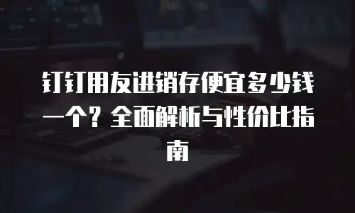钉钉用友进销存便宜多少钱一个？全面解析与性价比指南