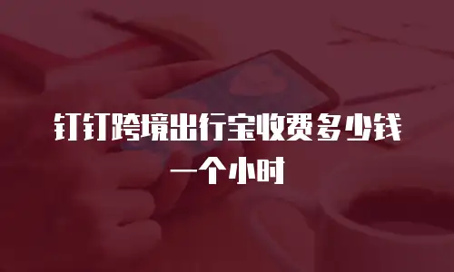 钉钉跨境出行宝收费多少钱一个小时