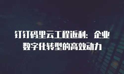 钉钉码里云工程返利：企业数字化转型的高效动力