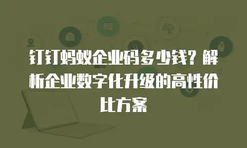 钉钉蚂蚁企业码多少钱？解析企业数字化升级的高性价比方案