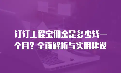 钉钉工程宝佣金是多少钱一个月？全面解析与实用建议