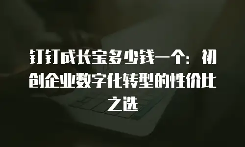钉钉成长宝多少钱一个：初创企业数字化转型的性价比之选