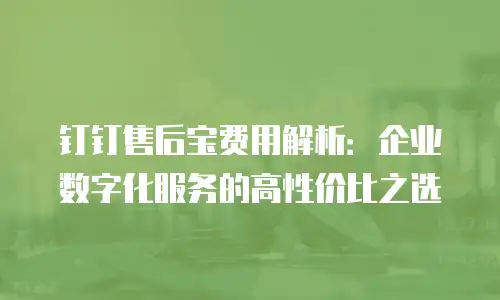 钉钉售后宝费用解析：企业数字化服务的高性价比之选