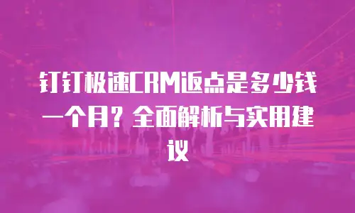 钉钉极速CRM返点是多少钱一个月？全面解析与实用建议