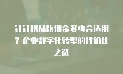 钉钉精品版佣金多少合适用？企业数字化转型的性价比之选