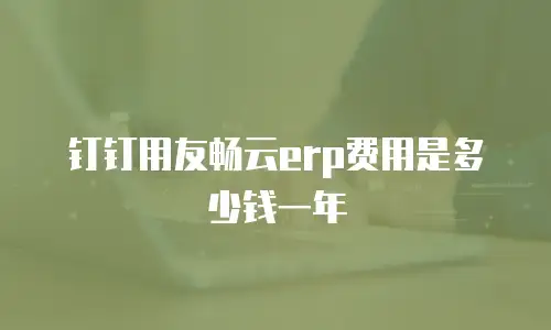 钉钉用友畅云erp费用是多少钱一年