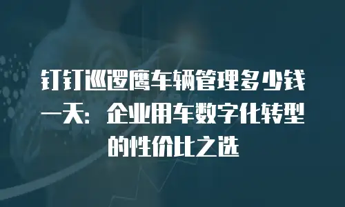 钉钉巡逻鹰车辆管理多少钱一天：企业用车数字化转型的性价比之选