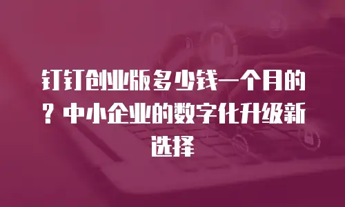 钉钉创业版多少钱一个月的？中小企业的数字化升级新选择
