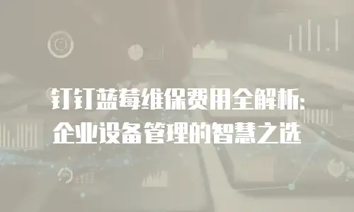 钉钉蓝莓维保费用全解析：企业设备管理的智慧之选