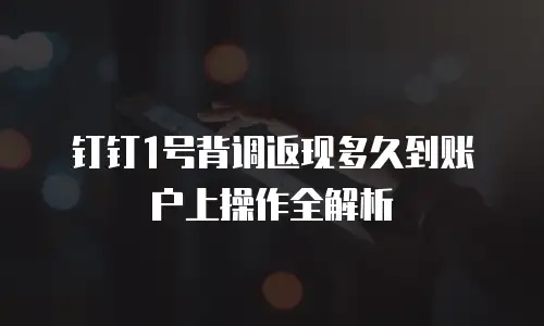 钉钉1号背调返现多久到账户上操作全解析
