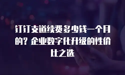 钉钉支道续费多少钱一个月的？企业数字化升级的性价比之选