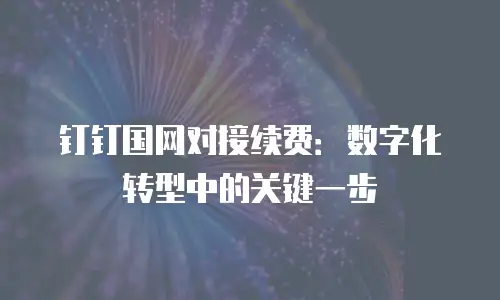 钉钉国网对接续费：数字化转型中的关键一步