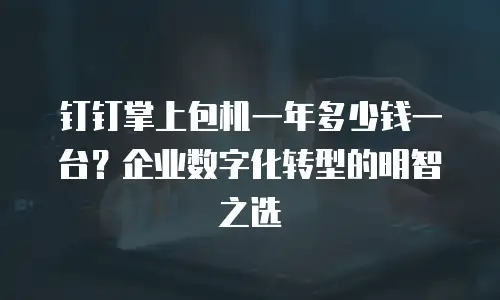 钉钉掌上包机一年多少钱一台？企业数字化转型的明智之选