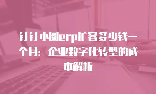 钉钉小圈erp扩容多少钱一个月：企业数字化转型的成本解析