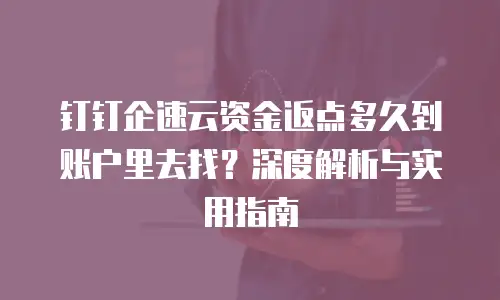 钉钉企速云资金返点多久到账户里去找？深度解析与实用指南