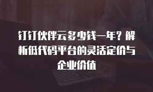 钉钉伙伴云多少钱一年？解析低代码平台的灵活定价与企业价值