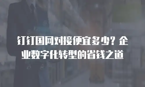 钉钉国网对接便宜多少？企业数字化转型的省钱之道