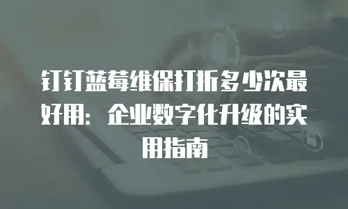 钉钉蓝莓维保打折多少次最好用：企业数字化升级的实用指南