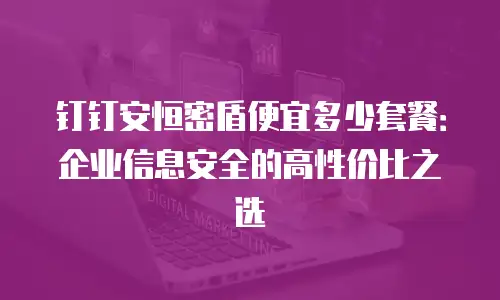 钉钉安恒密盾便宜多少套餐：企业信息安全的高性价比之选
