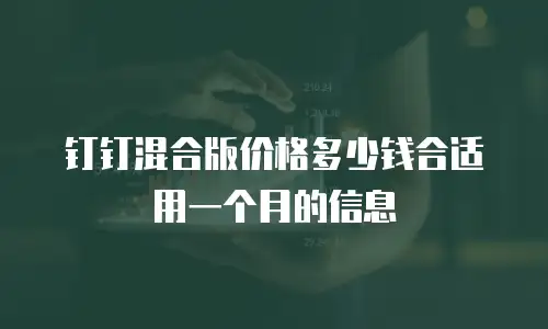 钉钉混合版价格多少钱合适用一个月的信息