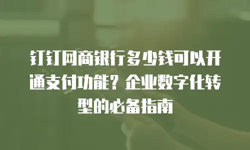 钉钉网商银行多少钱可以开通支付功能？企业数字化转型的必备指南