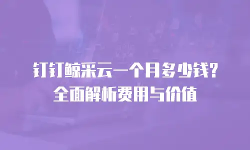 钉钉鲸采云一个月多少钱？全面解析费用与价值