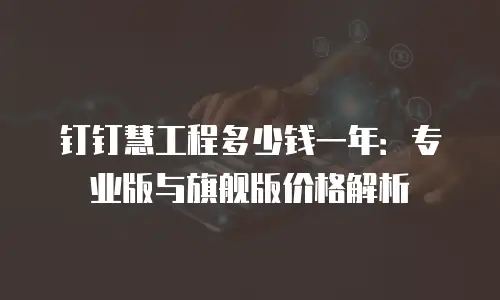 钉钉慧工程多少钱一年：专业版与旗舰版价格解析