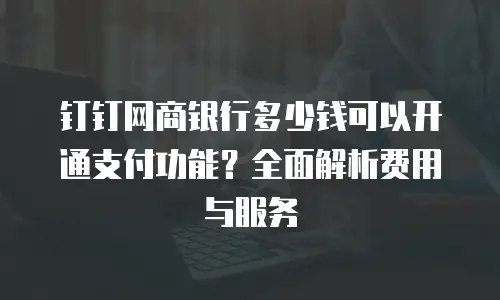 钉钉网商银行多少钱可以开通支付功能？全面解析费用与服务