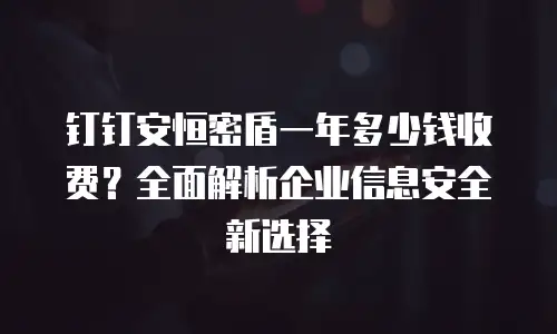 钉钉安恒密盾一年多少钱收费？全面解析企业信息安全新选择