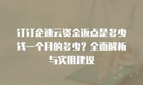 钉钉企速云资金返点是多少钱一个月的多少？全面解析与实用建议