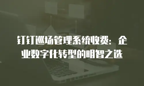钉钉巡场管理系统收费：企业数字化转型的明智之选