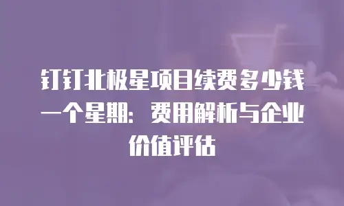 钉钉北极星项目续费多少钱一个星期：费用解析与企业价值评估