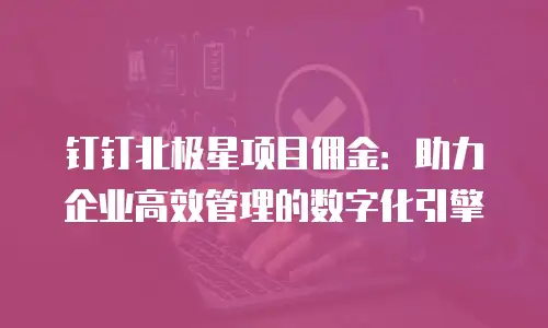钉钉北极星项目佣金：助力企业高效管理的数字化引擎