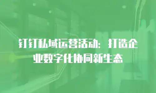 钉钉私域运营活动：打造企业数字化协同新生态