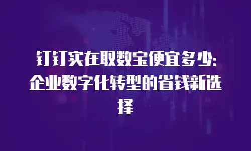 钉钉实在取数宝便宜多少：企业数字化转型的省钱新选择