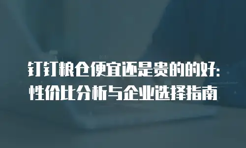 钉钉粮仓便宜还是贵的的好：性价比分析与企业选择指南