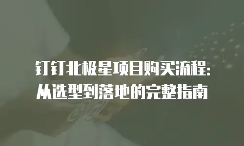 钉钉北极星项目购买流程：从选型到落地的完整指南