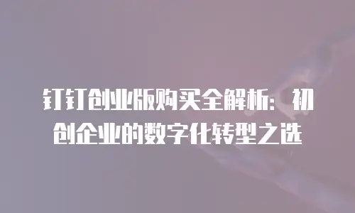 钉钉创业版购买全解析：初创企业的数字化转型之选