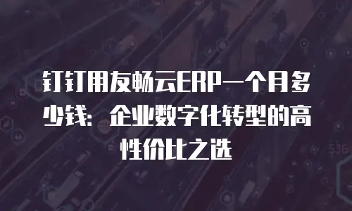 钉钉用友畅云ERP一个月多少钱：企业数字化转型的高性价比之选