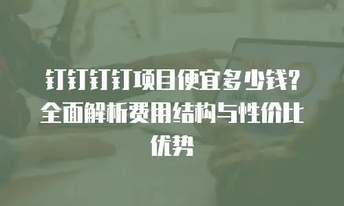 钉钉钉钉项目便宜多少钱？全面解析费用结构与性价比优势