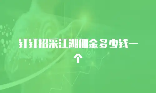 钉钉招采江湖佣金多少钱一个