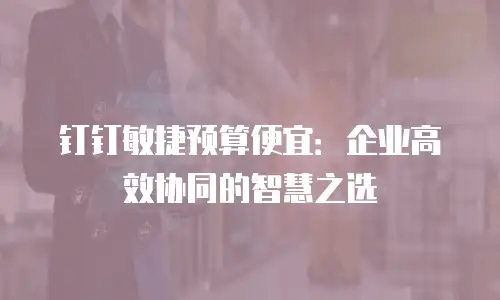 钉钉敏捷预算便宜：企业高效协同的智慧之选