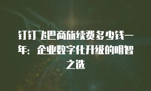 钉钉飞巴商旅续费多少钱一年：企业数字化升级的明智之选