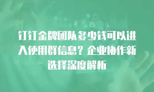 钉钉金牌团队多少钱可以进入使用群信息？企业协作新选择深度解析