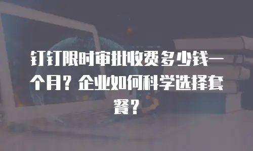 钉钉限时审批收费多少钱一个月？企业如何科学选择套餐？