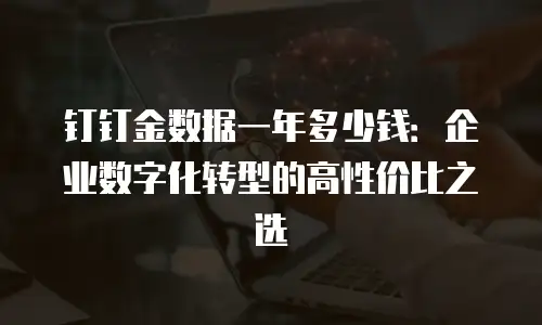 钉钉金数据一年多少钱：企业数字化转型的高性价比之选