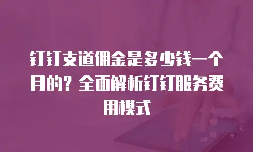 钉钉支道佣金是多少钱一个月的？全面解析钉钉服务费用模式
