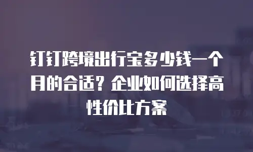 钉钉跨境出行宝多少钱一个月的合适？企业如何选择高性价比方案