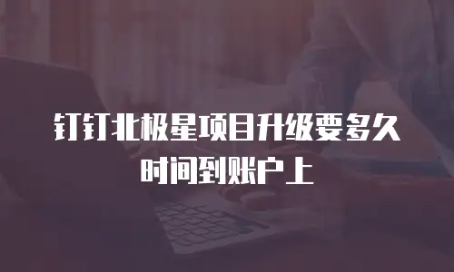 钉钉北极星项目升级要多久时间到账户上