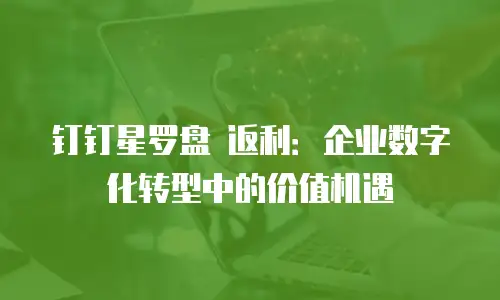 钉钉星罗盘 返利：企业数字化转型中的价值机遇